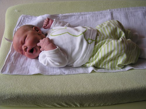 Marit geniet van het daglicht