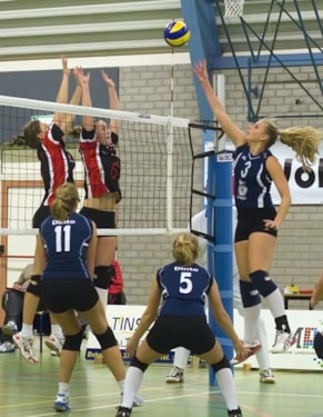 Copyright Ton Nijenkamp