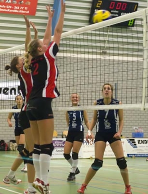 Copyright Ton Nijenkamp