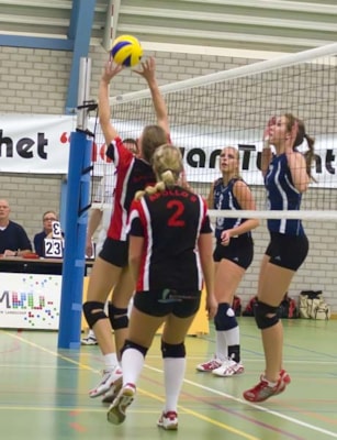 Copyright Ton Nijenkamp