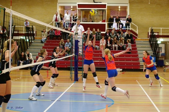 bron: www.rivorijssen.nl