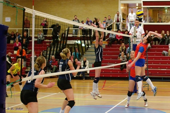 bron: www.rivorijssen.nl