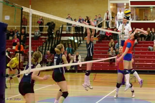 bron: www.rivorijssen.nl