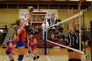 bron: www.rivorijssen.nl