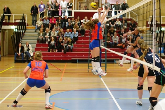 bron: www.rivorijssen.nl