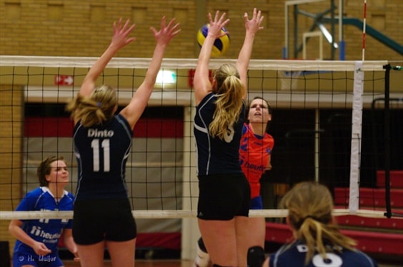 bron: www.rivorijssen.nl