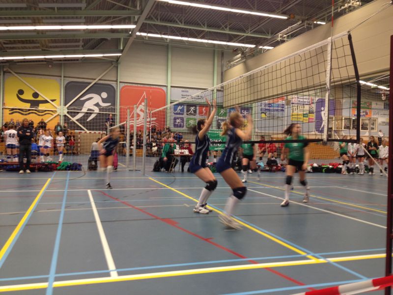 Prima prestaties van Dinto meisjes D en C op het Open Nederlands Kampioenschap!