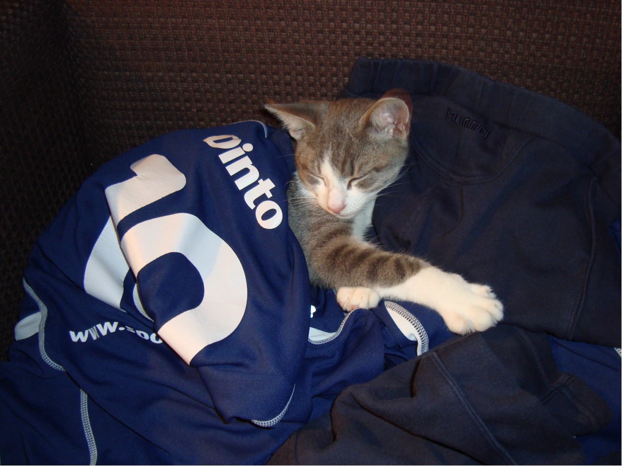 Supporters in soorten en maten