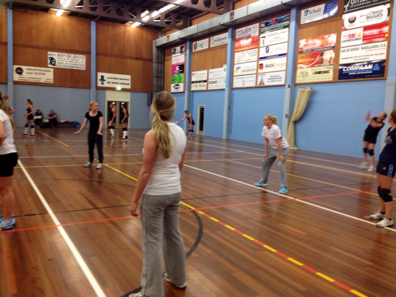 Veel volleybalplezier bij Dinto Stuif es In 