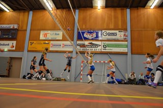 actie foto MC1 Dinto - MC1 Compaen