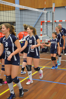 en dan handjes schudden