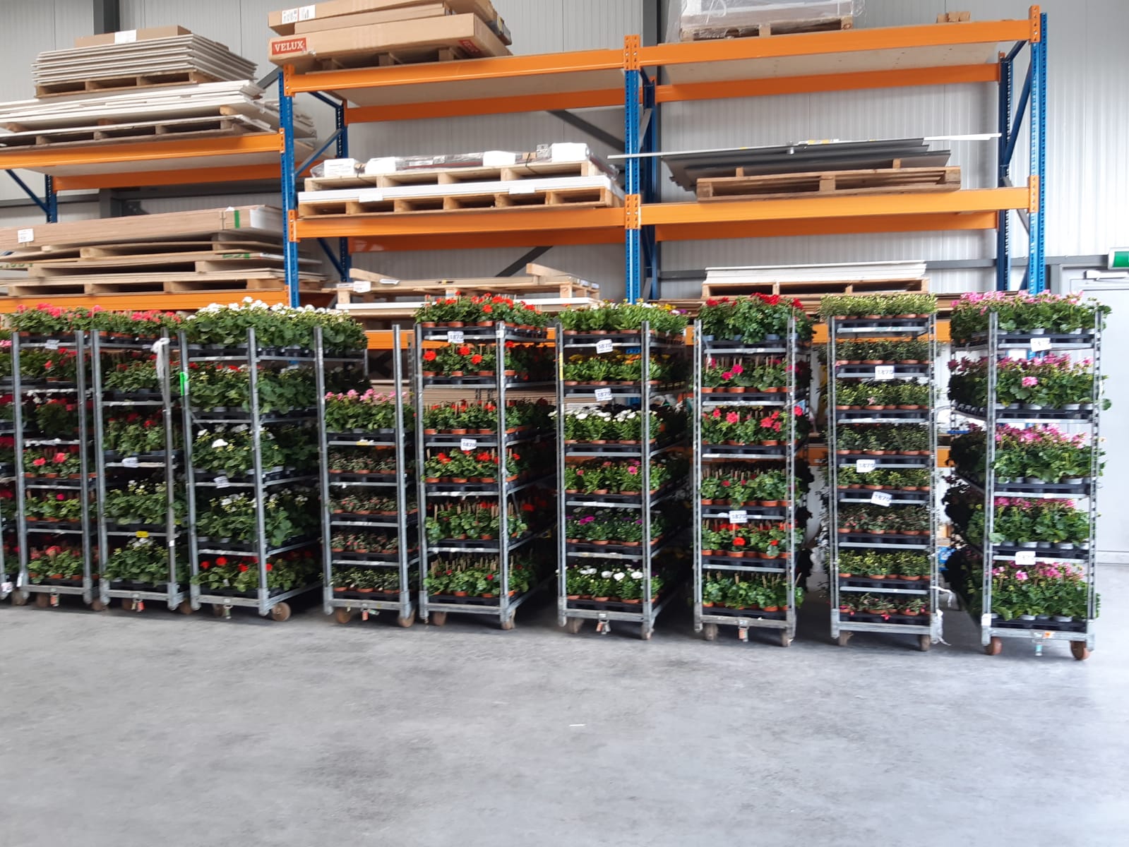 Een andere tijd een andere Plantenactie