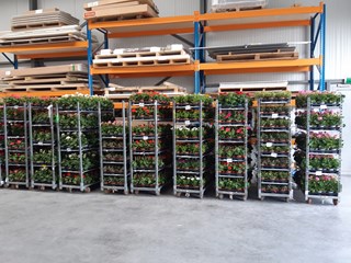 WhatsApp Image 2021-04-24 at 16.25.41 (1)