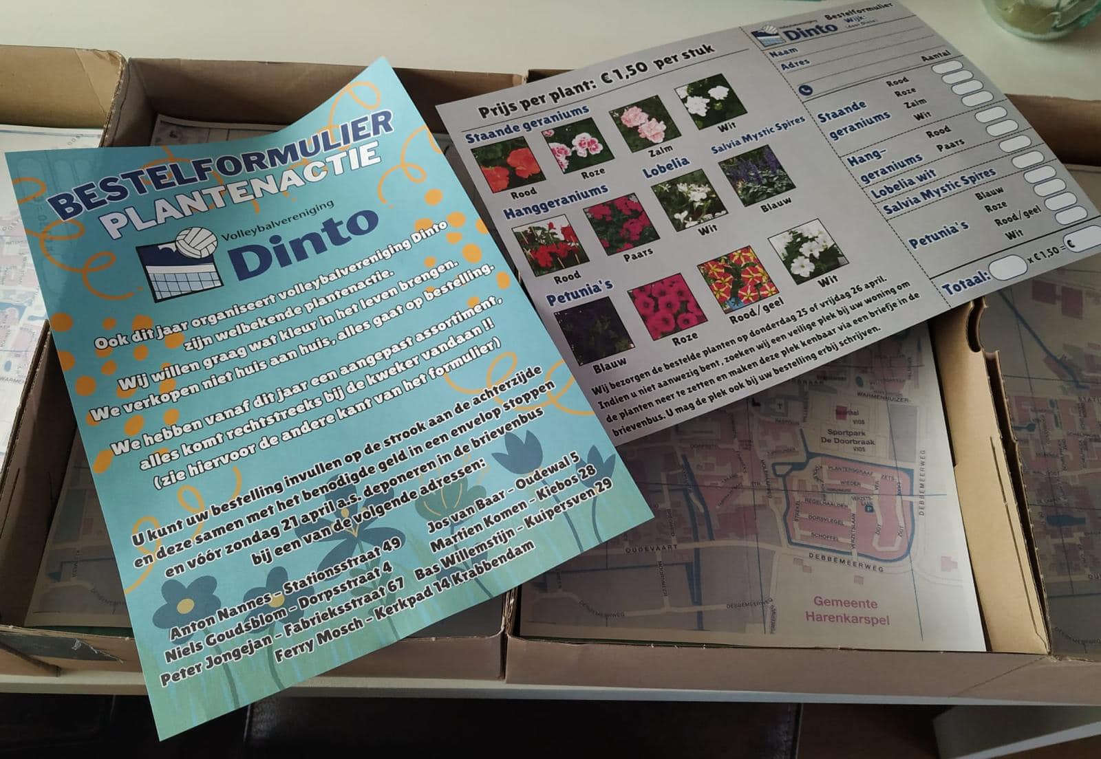 Dinto Plantenactie 2024