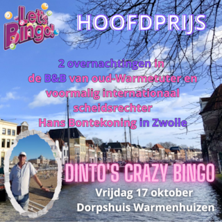 Dinto's Crazy Bingo - Bontekoning