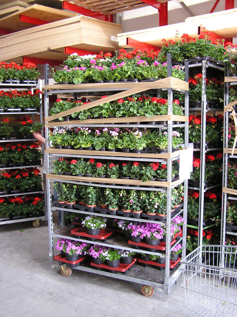 Rekruten gezocht voor Plantenactie