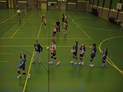 Overzicht van de selectietraining